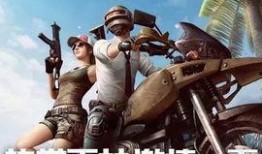 英勇之地最新爆料视频下载,揭秘幕后英雄的壮丽征程