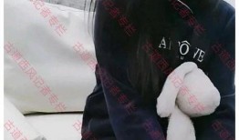 杨先生爆料电梯视频,惊险一幕引发安全警示